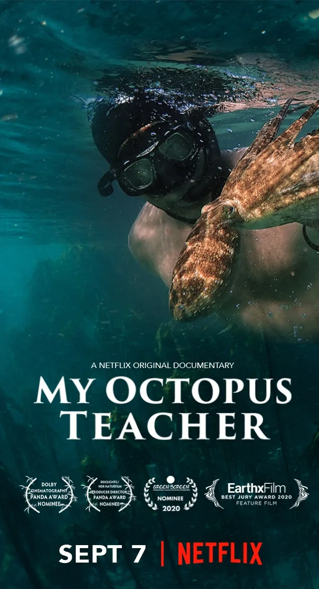 Seaspiracy and My Octopus Teacher — associated archive artwork